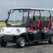 Melex N.CLASSIC 466